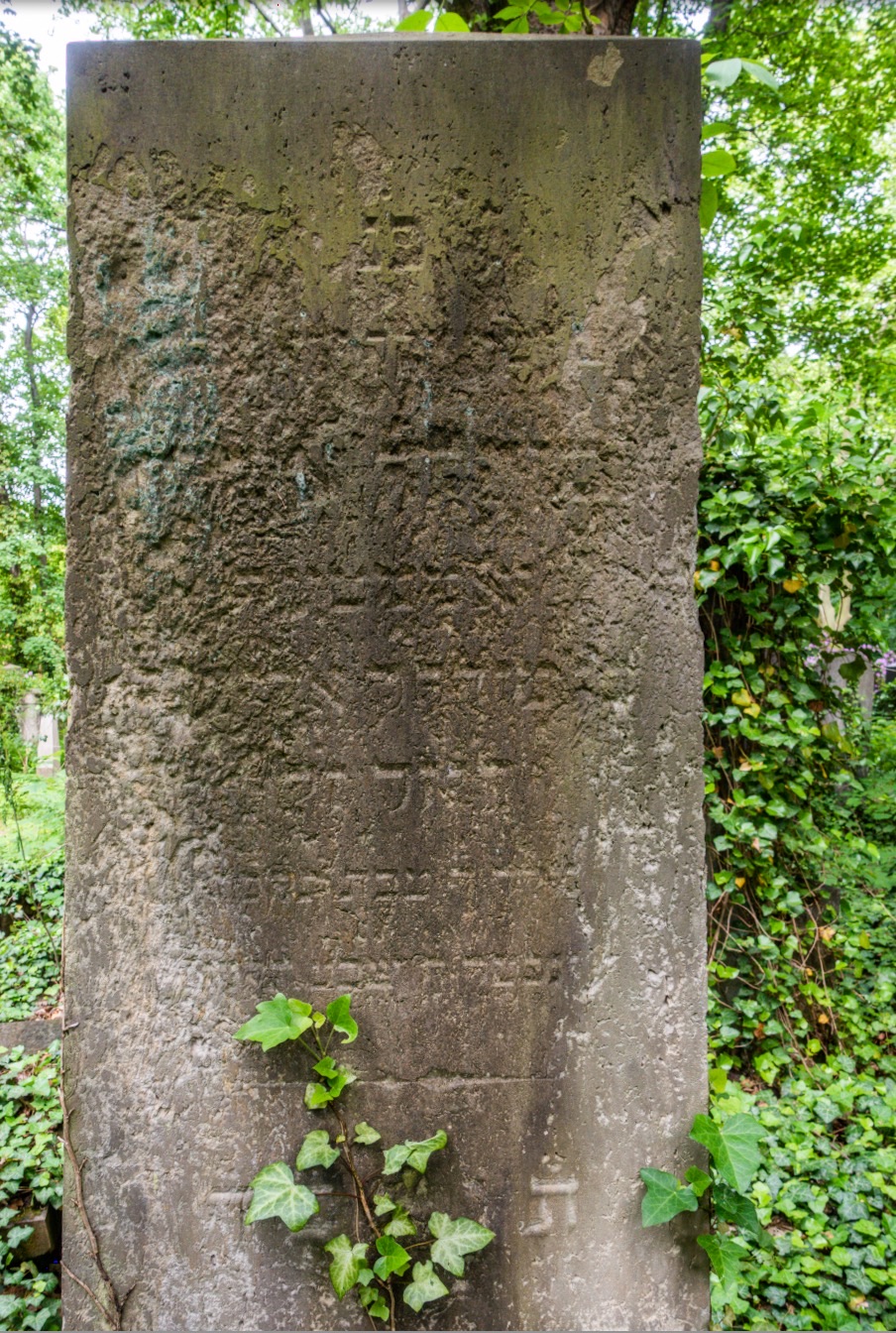 Die Deutsche MischnaÜbersetzung talmud.de